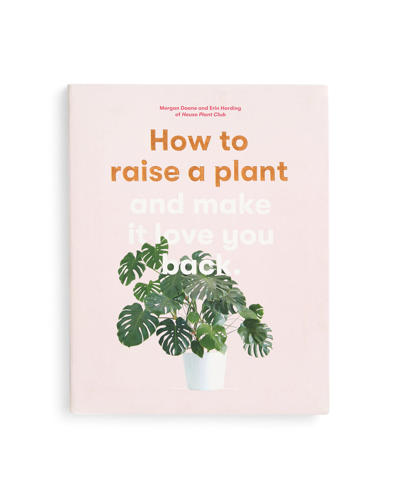 How to raise a plant and make it love you