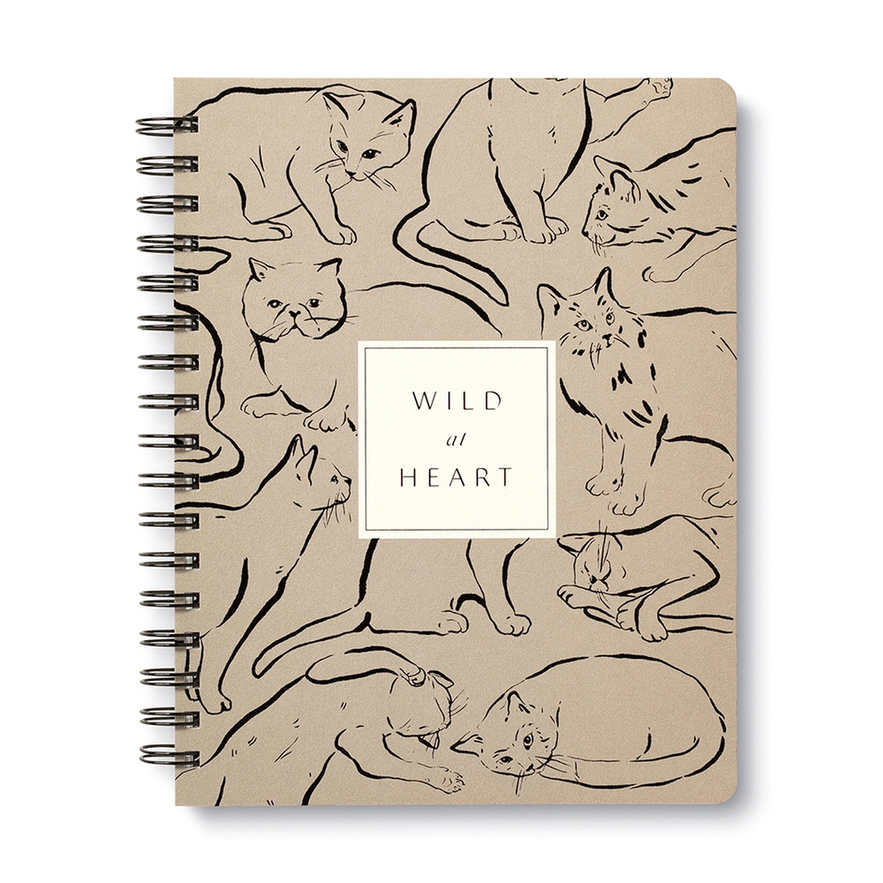 WILD AT HEART by Live Inspired